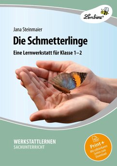Die Schmetterlinge. Grundschule, Sachunterricht, Klasse 1-2 - Steinmaier, Jana