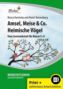 Amsel, Meise & Co: Heimische Vögel - Kaminsky, B.;Bannenberg, M.