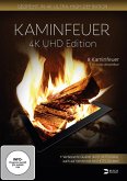 Kaminfeuer - UHD Edition
