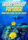 Underwater Paradise: Diving With Clown Fish & Shar