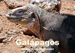 Galápagos Geburtstagskalender (Wandkalender immerwährend DIN A4 quer) - Blank, Rudolf