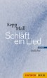 Schläft ein Lied (eBook, ePUB) - Bild 1