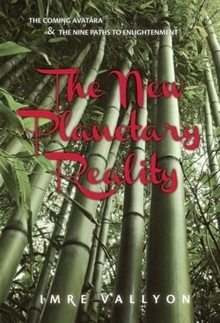 New Planetary Reality (eBook, ePUB) New Planetary Reality (eBook, ePUB)