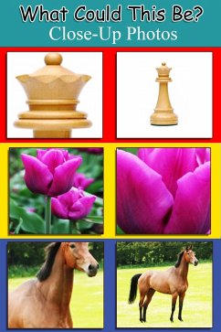 Cover What Could This Be? (eBook, ePUB)