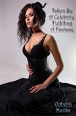 Taken By A Celebrity Fulfilling A Fantasy (eBook, ePUB)