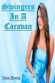 Swingers In A Caravan (eBook, ePUB)