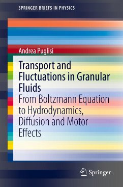 Transport and Fluctuations in Granular Fluids - Puglisi, Andrea