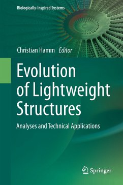 Evolution of Lightweight Structures