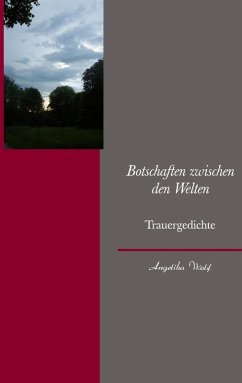 Cover Botschaften zwischen den Welten (eBook, ePUB)
