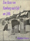 Eine Reise von Hamburg nach Sylt um 1880 (eBook, ePUB)