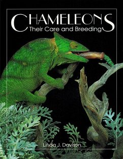 Chameleons - Davison, Linda