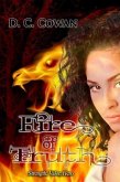 Fire of Truth (eBook, ePUB)