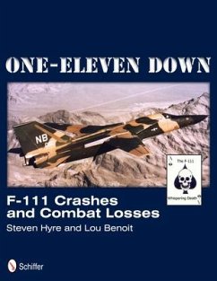 One-Eleven Down: F-111 Crashes and Combat Losses - Hyer, Steven