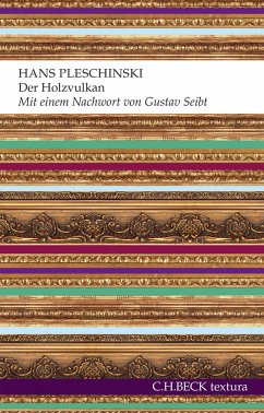 Der Holzvulkan (eBook, ePUB) - Pleschinski, Hans