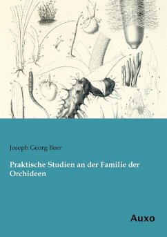 Praktische Studien an der Familie der Orchideen - Beer, Joseph Georg