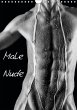 Male Nude (Wandkalender immerwährend... - Bild 1