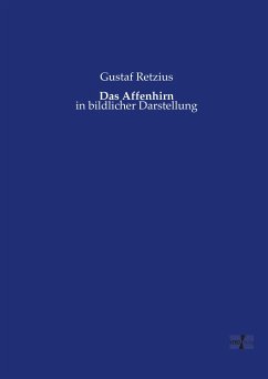 Das Affenhirn - Retzius, Gustaf