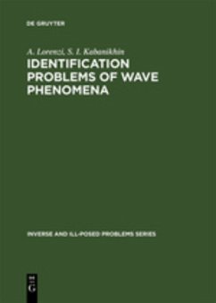 Identification Problems of Wave Phenomena - Lorenzi, A.;Kabanikhin, S. I.