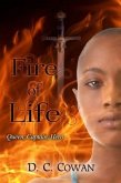 Fire of Life (eBook, ePUB)