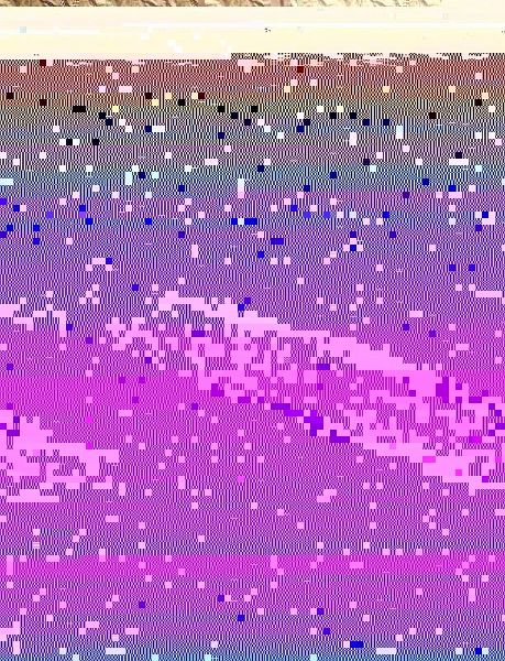 The Dead Baby Story (eBook, ePUB) The Dead Baby Story (eBook, ePUB)