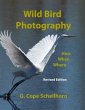 Wild Bird Photography: How, When, Where... - Bild 1