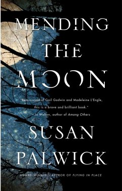 Mending the Moon (eBook, ePUB) - Palwick, Susan