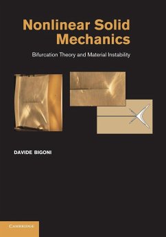 Nonlinear Solid Mechanics - Bigoni, Davide