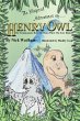 The Magical Adventures of Henry Owl - Bild 1