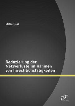 Reduzierung der Netzverluste im Rahmen von Investitionstätigkeiten - Trost, Stefan