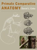 Primate Comparative Anatomy