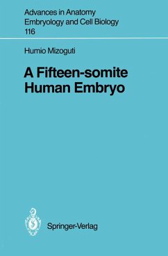A Fifteen-somite Human Embryo - Mizoguti, Humio