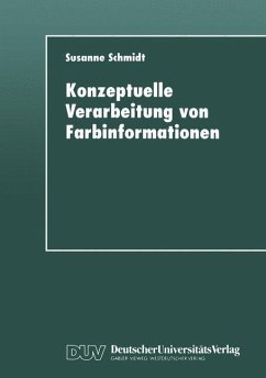 Konzeptuelle Verarbeitung von Farbinformationen - Schmidt, Susanne