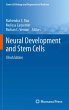 Neural Development and Stem Cells - Bild 1