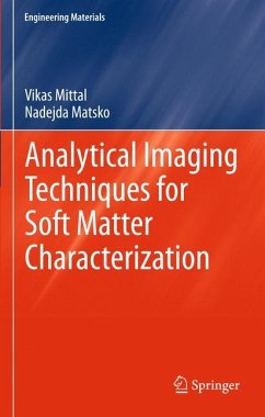 Analytical Imaging Techniques for Soft Matter Characterization - Mittal, Vikas;Matsko, Nadejda B.