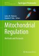 Mitochondrial Regulation - Bild 1