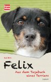 Felix (eBook, ePUB)