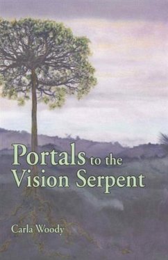 Cover Portals to the Vision Serpent (eBook, ePUB)