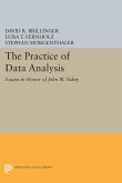 The Practice of Data Analysis (eBook, PDF)