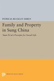 Family and Property in Sung China (eBook, PDF)