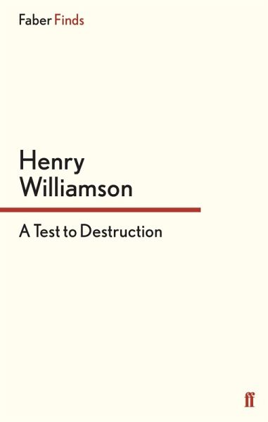 A Test to Destruction (eBook, ePUB) A Test to Destruction (eBook, ePUB)