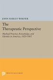 The Therapeutic Perspective (eBook, PDF)
