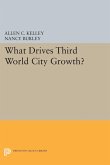 What Drives Third World City Growth? (eBook, PDF) What Drives Third World City Growth? (eBook, PDF)