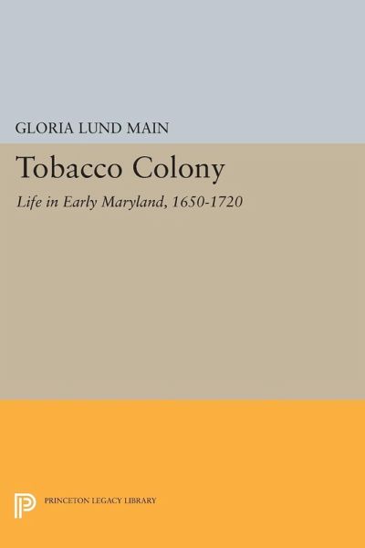 Tobacco Colony (eBook, PDF)