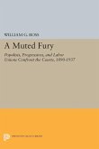 A Muted Fury (eBook, PDF)