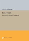 Fieldwork (eBook, PDF)