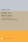 Labor in a New Land (eBook, PDF)