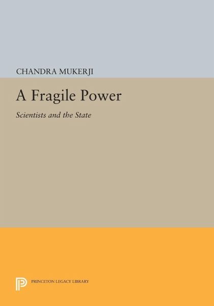 A Fragile Power (eBook, PDF) A Fragile Power (eBook, PDF)