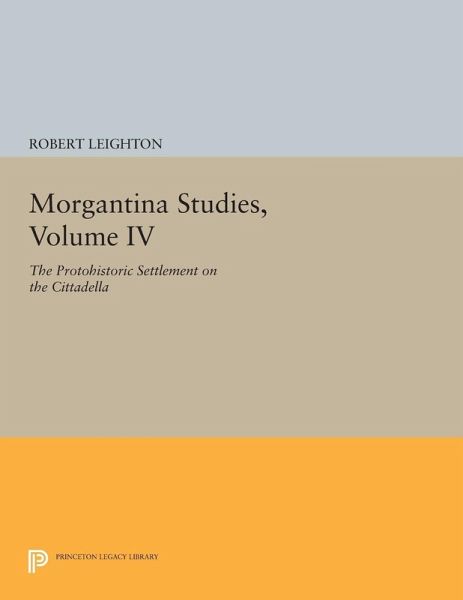 Morgantina Studies, Volume IV (eBook, PDF) Morgantina Studies, Volume IV (eBook, PDF)