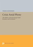 Crisis amid Plenty (eBook, PDF)