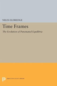 Cover Time Frames (eBook, PDF)